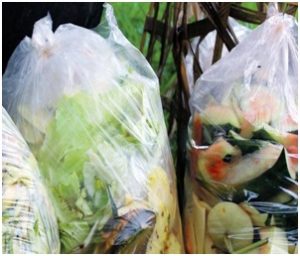 Compostable Organic Waste Bag